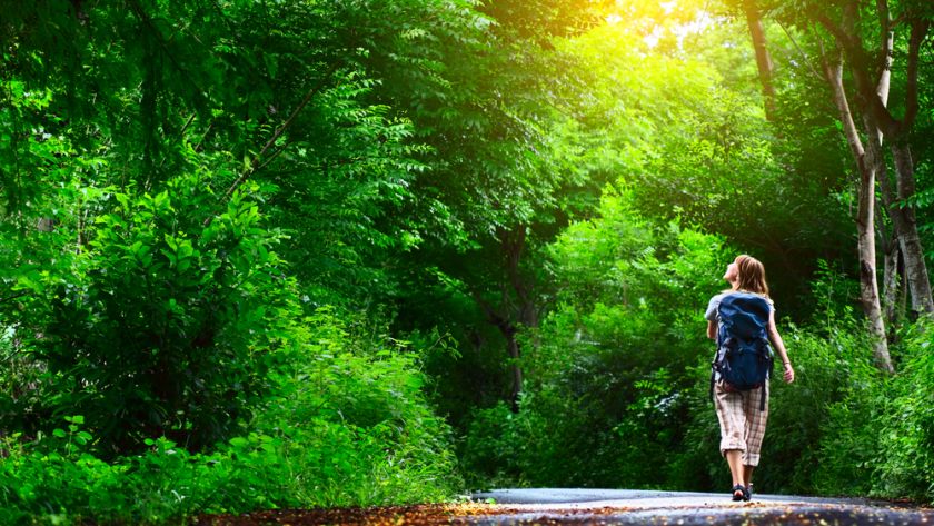 Geführte Wanderung in und um Bad Arolsen