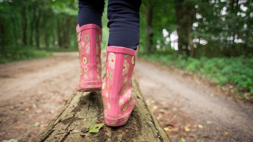 Wanderung in die Geschichte