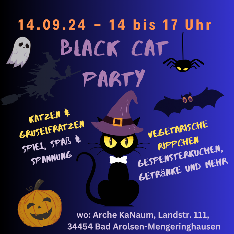 Black Cat Party 