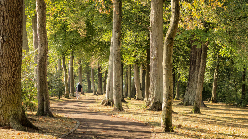 Baumpark Bad Arolsen