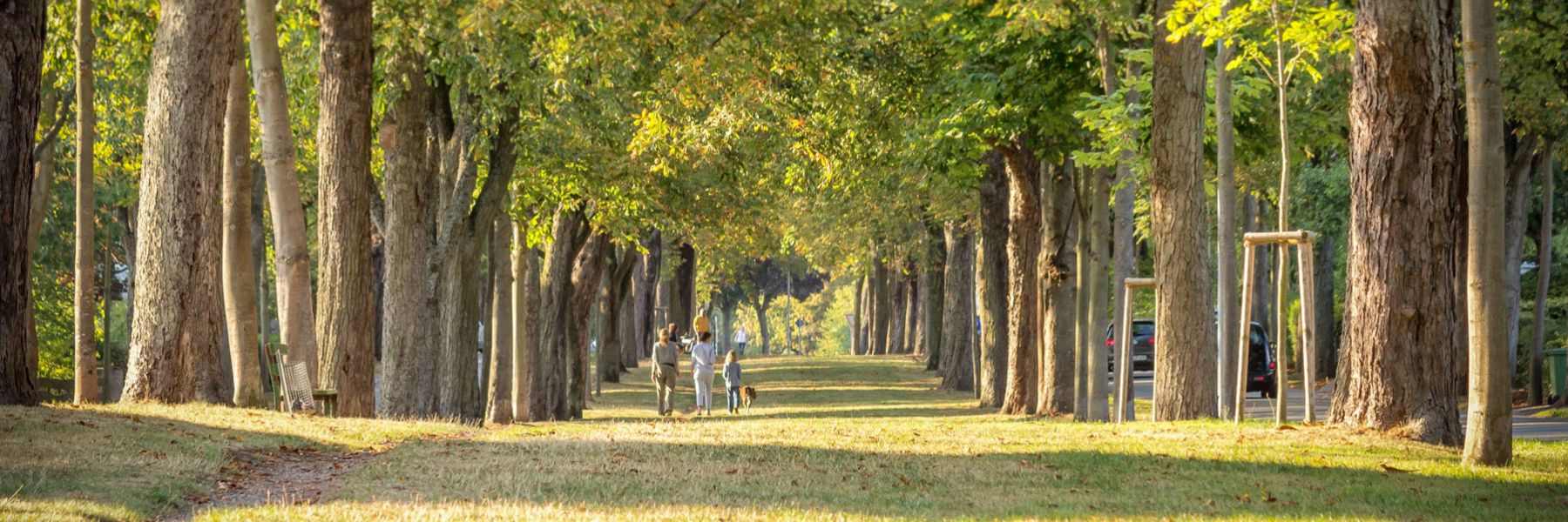 Lebensqualität genießen