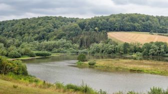 Ornithologische waarnemingsstations