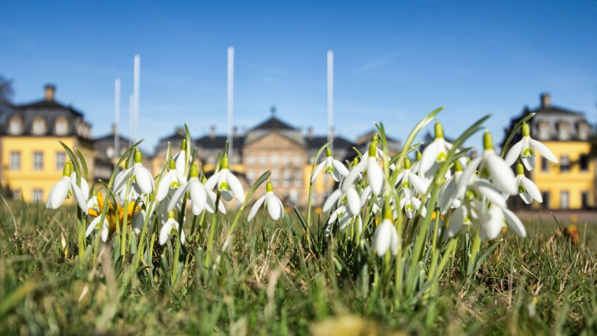 "Bad Arolsen blüht auf"